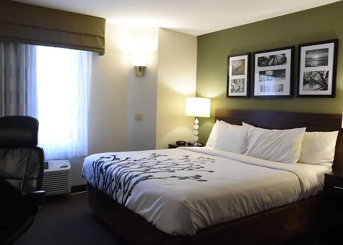 Sleep Airport Hotel 3*