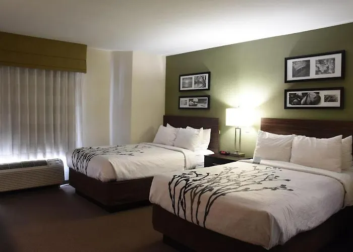 Hotel Sleep Airport