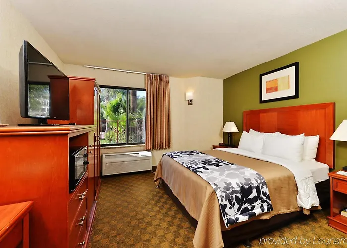 Sleep Airport Hotel
