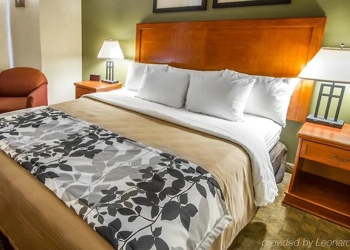 Sleep Airport Hotel 3*